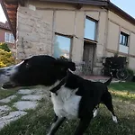 El Cocodrilo, Tranquila A 20 Min De Burgos Holiday home
