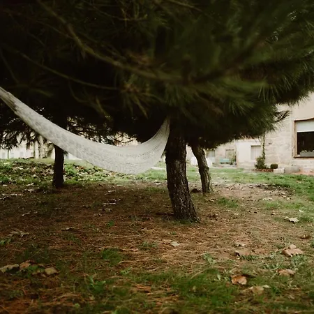 El Cocodrilo, Tranquila A 20 Min De Burgos * Ages