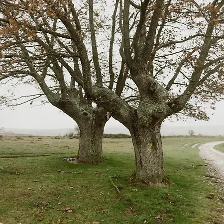 Сasa de vacaciones El Cocodrilo Ages