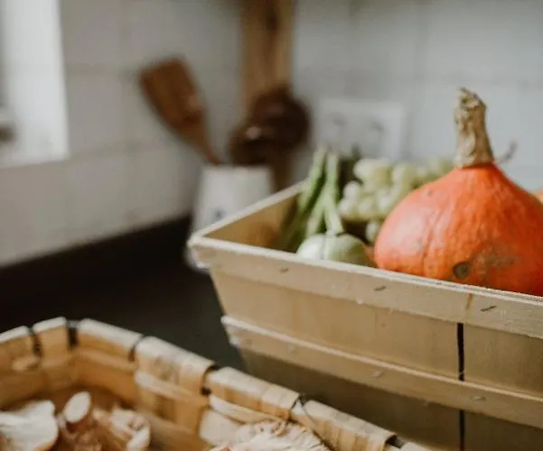 El Cocodrilo, Tranquila A 20 Min De Burgos *