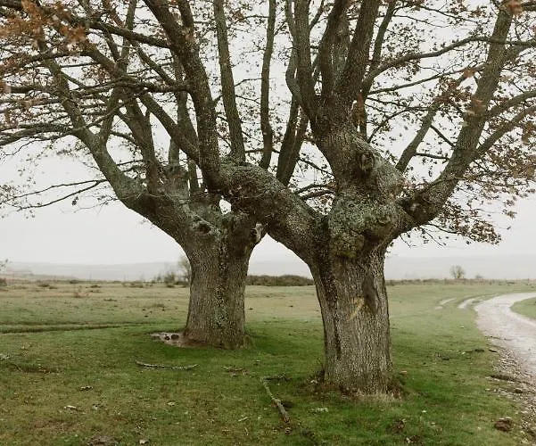 Ferienhaus El Cocodrilo, Tranquila A 20 Min De Burgos Ages