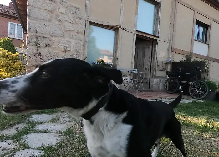 El Cocodrilo, Tranquila A 20 Min De Burgos Holiday home